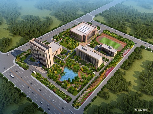 1589180240668421.jpg 38-500.jpg